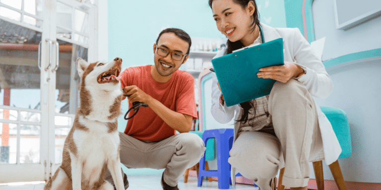 Dịch Vụ Thú Y Tại Nhà AnVet: Khi Sự Chăm Sóc Tận Tâm Gõ Cửa Nhà Bạn